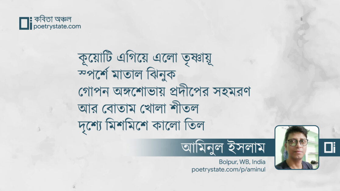 বাংলা কবিতা, আয়নার মরুভূমি কবিতা, কবি %customfield(cpoet_name)% - কবিতা অঞ্চল