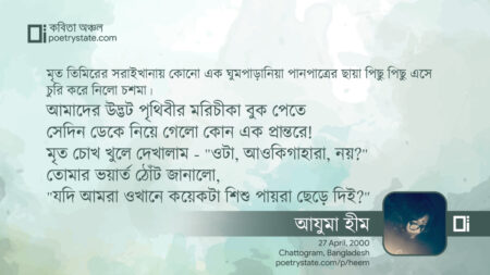 বাংলা কবিতা, মৃত তিমিরের সরাইখানায় কবিতা, কবি - কবিতা অঞ্চল