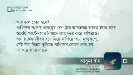 বাংলা কবিতা, বার্ড সুইসাইড জোন কবিতা, কবি - কবিতা অঞ্চল