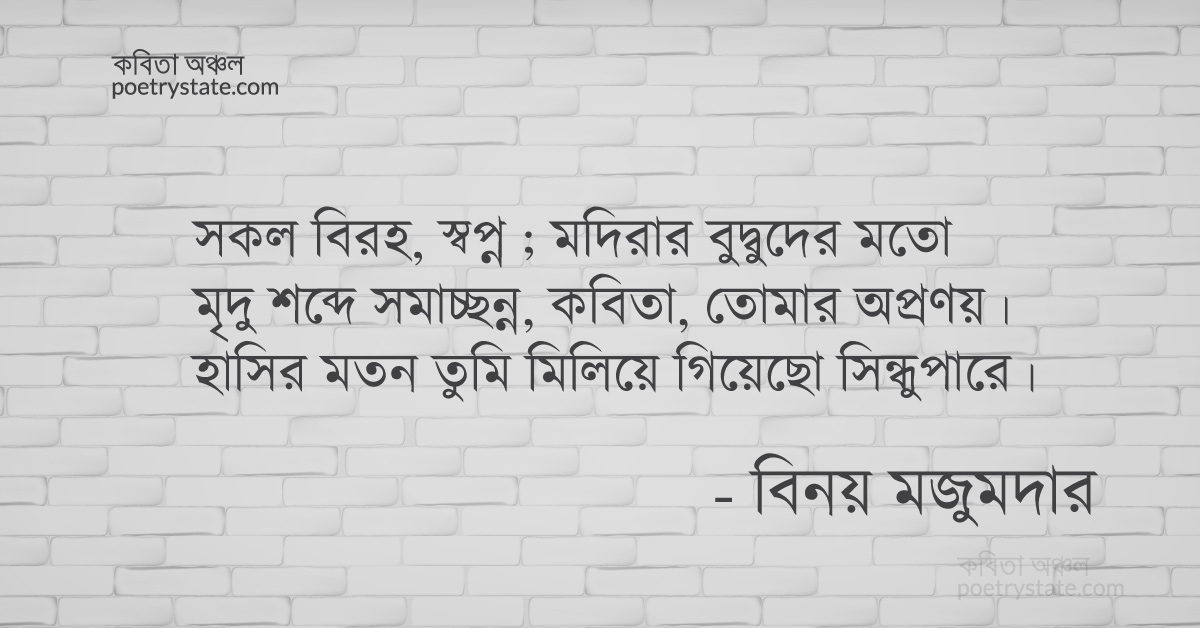 বাংলা কবিতা, ফিরে এসো চাকা – এরূপ বিরহ ভালো... কবিতা, কবি %customfield(cpoet_name)% - কবিতা অঞ্চল