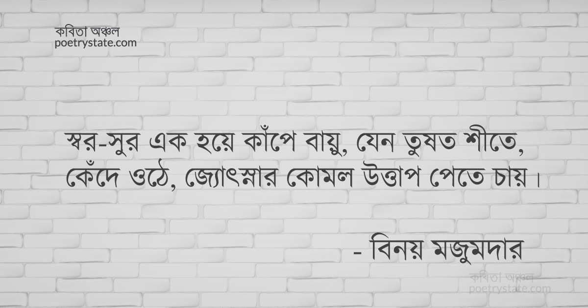 বাংলা কবিতা, ফিরে এসো চাকা ৩৩ – রোমাঞ্চ কি রয়ে... কবিতা, কবি %customfield(cpoet_name)% - কবিতা অঞ্চল