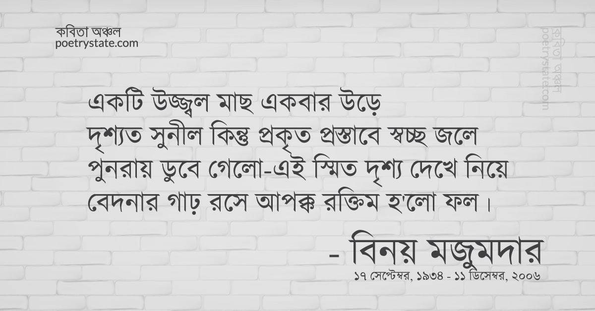 বাংলা কবিতা, ফিরে এসো চাকা ১ - একটি উজ্জ্বল মাছ... কবিতা, কবি %customfield(cpoet_name)% - কবিতা অঞ্চল