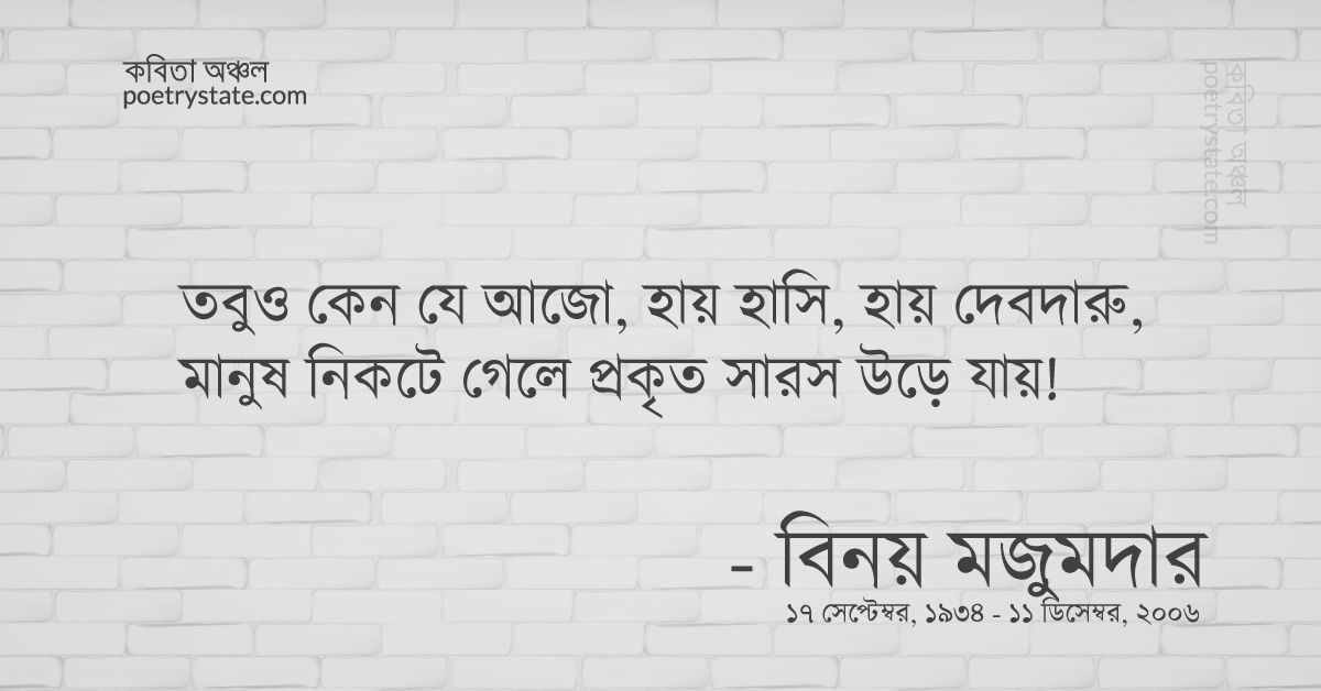 বাংলা কবিতা, ফিরে এসো চাকা ২ - মুকুরে প্রতিফলিত... কবিতা, কবি %customfield(cpoet_name)% - কবিতা অঞ্চল