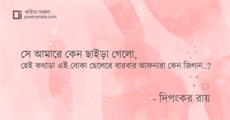 বাংলা কবিতা, এক বোকা ছেলের প্রশ্ন কবিতা, কবি দিপংকর রায় - কবিতা অঞ্চল
