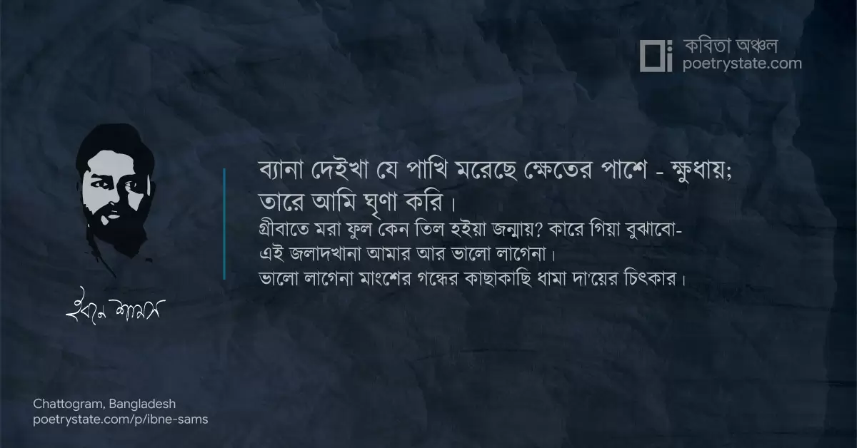 বাংলা কবিতা, ব্যানা কবিতা, কবি ইবনে শামস - কবিতা অঞ্চল