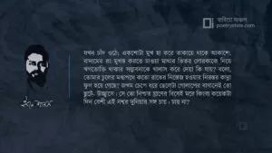 বাংলা কবিতা, একটা জেড প্লান্টের কাছে হামনমি কবিতা, কবি ইবনে শামস - কবিতা অঞ্চল