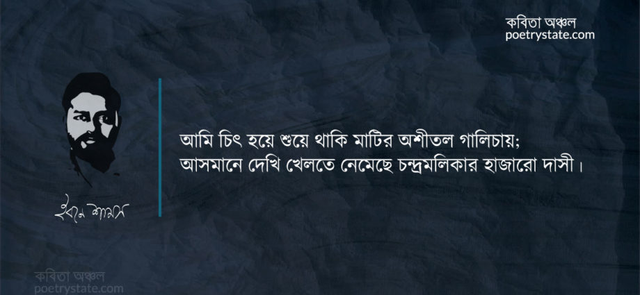 বাংলা কবিতা, রাষ্ট্র কবিতা, কবি ইবনে শামস - কবিতা অঞ্চল