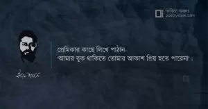 বাংলা কবিতা, স্ববিরোধীতা কবিতা, কবি ইবনে শামস - কবিতা অঞ্চল