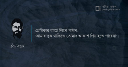 বাংলা কবিতা, স্ববিরোধীতা কবিতা, কবি ইবনে শামস - কবিতা অঞ্চল