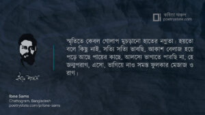 বাংলা কবিতা, সলিদাই দিসফ্রুতাদ কবিতা, কবি ইবনে শামস - কবিতা অঞ্চল