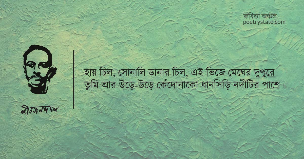 বাংলা কবিতা, হায় চিল কবিতা, কবি জীবনানন্দ দাশ - কবিতা অঞ্চল