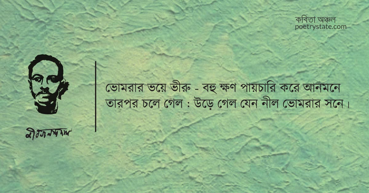 বাংলা কবিতা, চলে যাব শুকনো পাতা কবিতা, কবি জীবনানন্দ দাশ | কবিতা অঞ্চল বাংলা কবিতা, চলে যাব শুকনো পাতা কবিতা, কবি জীবনানন্দ দাশ | কবিতা অঞ্চল