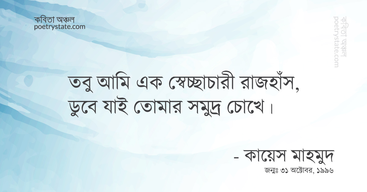 বাংলা কবিতা, সমুদ্রগামী রাজহাঁস এবং তুমি কবিতা, কবি %customfield(cpoet_name)% - কবিতা অঞ্চল