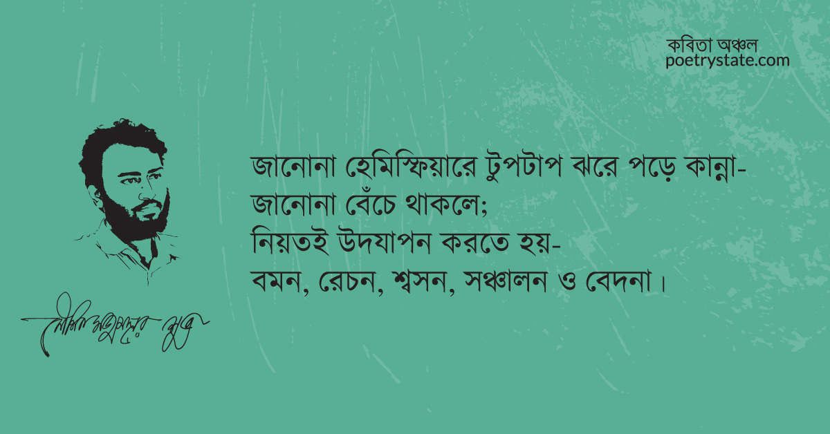 বাংলা কবিতা, দুঃখের ফিচেল হাঁসি কবিতা, কবি %customfield(cpoet_name)% - কবিতা অঞ্চল