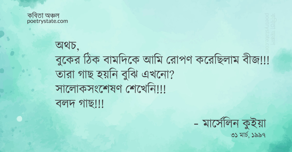 বাংলা কবিতা, লুলাবাই কবিতা, কবি %customfield(cpoet_name)% - কবিতা অঞ্চল