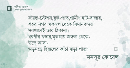 বাংলা কবিতা, মড়মড়ে হিজলের ঝড়া সবুজ-সতেজ পাতা কবিতা, কবি মনসূর কোয়েল - কবিতা অঞ্চল
