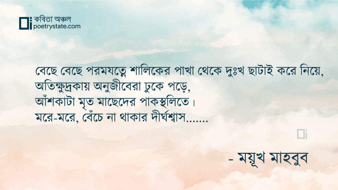 বাংলা কবিতা, আয়ু সংকট কবিতা, কবি %customfield(cpoet_name)% - কবিতা অঞ্চল