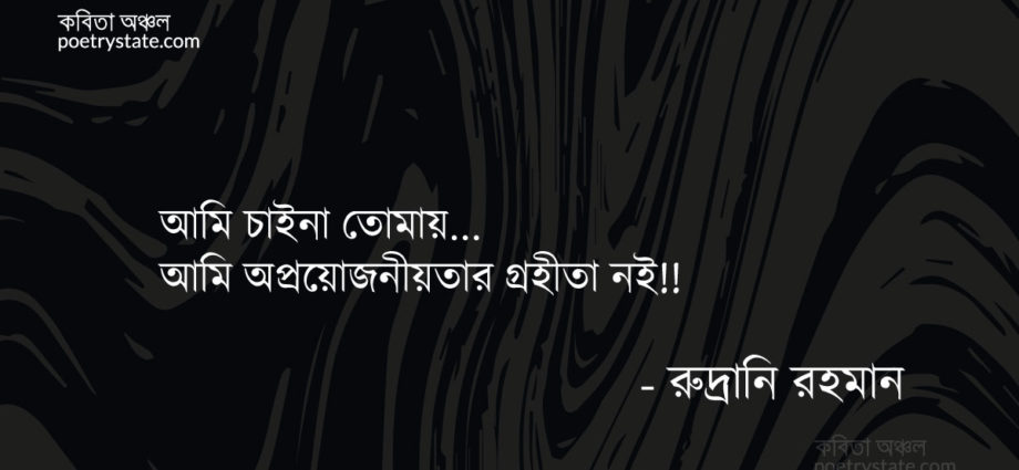 বাংলা কবিতা, অপ্রয়োজনীয়তার গ্রহীতা আমি নই কবিতা, কবি %customfield(cpoet_name)% - কবিতা অঞ্চল