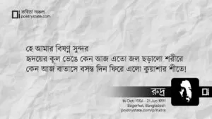 বাংলা কবিতা, হে আমার বিষণ্ন সুন্দর কবিতা, কবি রুদ্র মুহম্মদ শহিদুল্লাহ - কবিতা অঞ্চল