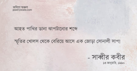 বাংলা কবিতা, সোনালী সাপ কবিতা, কবি সাব্বীর কবীর - কবিতা অঞ্চল