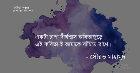 বাংলা কবিতা, কবিতা ও জীবন কবিতা, কবি সৌরভ মাহামুদ - কবিতা অঞ্চল
