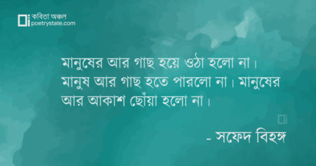 বাংলা কবিতা, কিম্ভুত কবিতা, কবি সফেদ বিহঙ্গ - কবিতা অঞ্চল