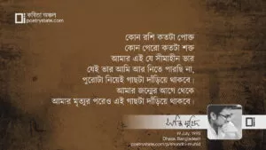 বাংলা কবিতা, আমগাছ কবিতা, কবি সন্ধি মুহিদ | কবিতা অঞ্চল