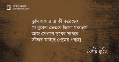 বাংলা কবিতা, তুমি আমার এ কী করেছো! কবিতা, কবি সন্ধি মুহিদ - কবিতা অঞ্চল