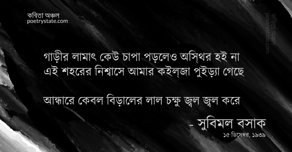 বাংলা কবিতা, হাবিজাবি ২৩ - ২৬নং রাস্তার চৌমাথা... কবিতা, কবি %customfield(cpoet_name)% - কবিতা অঞ্চল