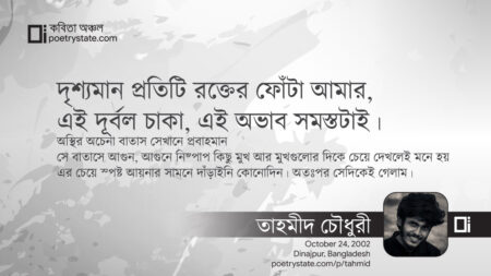 বাংলা কবিতা, দ্বিধা এবং দেশ কবিতা, কবি - কবিতা অঞ্চল