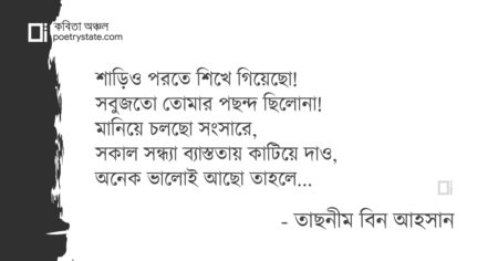 বাংলা কবিতা, ছেড়া চিঠির শেষে কবিতা, কবি তাছনীম বিন আহসান - কবিতা অঞ্চল