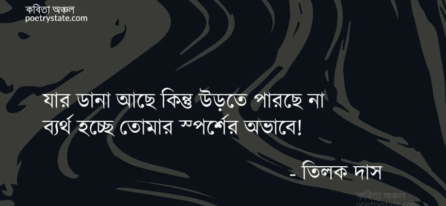 বাংলা কবিতা, অতঃপর নির্ঘুমা কবিতায় কবিতা, কবি তিলক দাস - কবিতা অঞ্চল