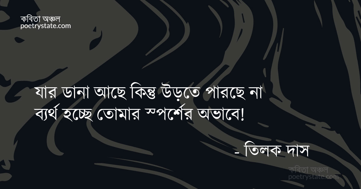 বাংলা কবিতা, অতঃপর নির্ঘুমা কবিতায় কবিতা, কবি %customfield(cpoet_name)% - কবিতা অঞ্চল