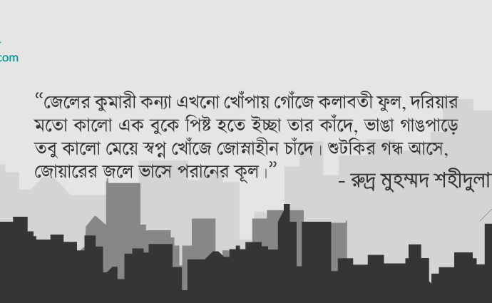 বাংলা কবিতা, মানুষের মানচিত্র ১১ কবিতা, কবি %customfield(cpoet_name)% | কবিতা অঞ্চল বাংলা কবিতা, মানুষের মানচিত্র ১১ কবিতা, কবি %customfield(cpoet_name)% | কবিতা অঞ্চল