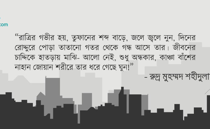 বাংলা কবিতা, মানুষের মানচিত্র ৩ কবিতা, কবি %customfield(cpoet_name)% - কবিতা অঞ্চল