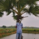 মাসুম মিয়া