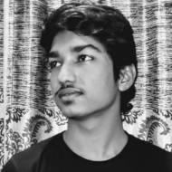 হাবিবুর রহমান রাফি
