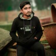 Hossain Robi