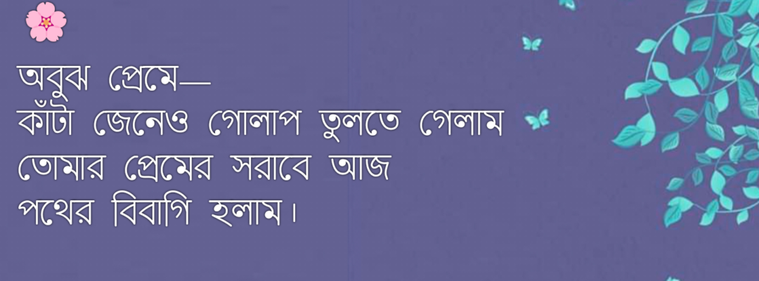বাংলা কবিতা, USER PROFILE কবিতা, কবি - কবিতা অঞ্চল Mizanfarabi