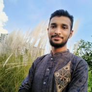মুহাম্মাদ মেহেদী হাসান